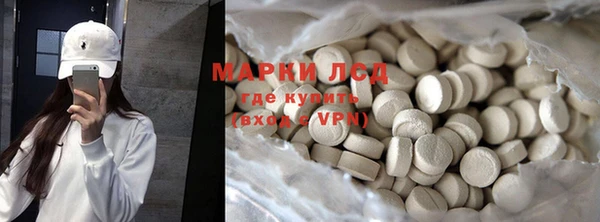 прущие грибы Горно-Алтайск