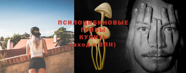 мдма Горняк