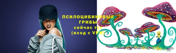 прущие грибы Горно-Алтайск