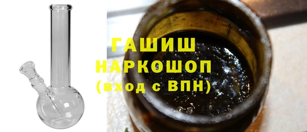 прущие грибы Горно-Алтайск