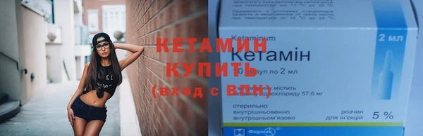 прущие грибы Горно-Алтайск