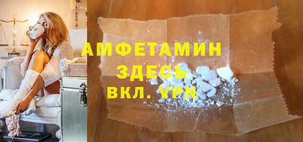 прущие грибы Горно-Алтайск