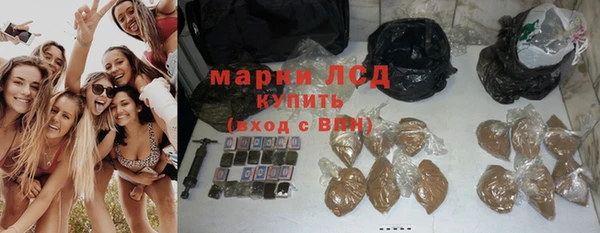 прущие грибы Горно-Алтайск