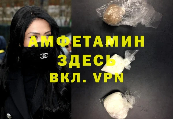 прущие грибы Горно-Алтайск