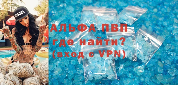 прущие грибы Горно-Алтайск