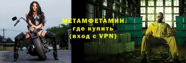 прущие грибы Горно-Алтайск