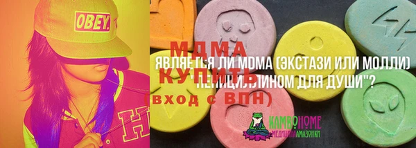 прущие грибы Горно-Алтайск