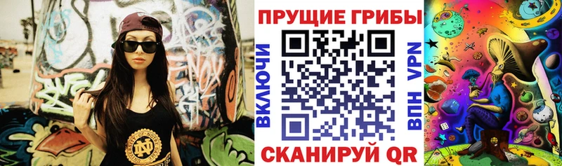 Купить закладки  Кировск  Галлюциногенные грибы Psilocybe 